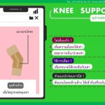 อุปกรณ์พยุงเข่า (Knee Support)